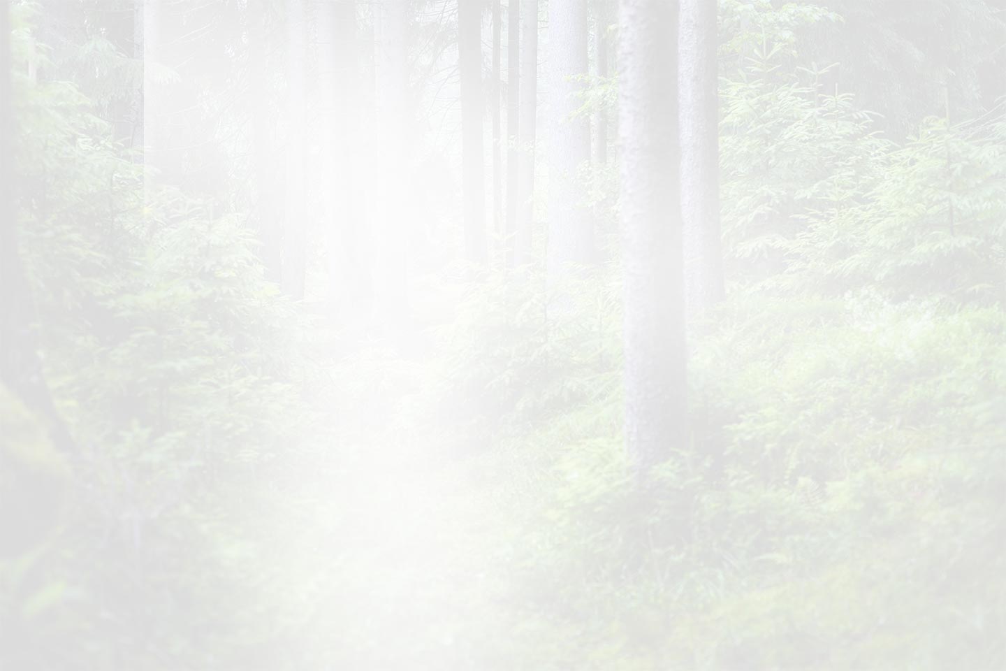 Zhejiang QianDuoMu Hiasan Pintar Co., Ltd.